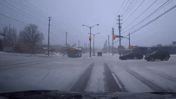 Xe buyt vuot den do, Tesla Model S khong kip tro tay hinh anh