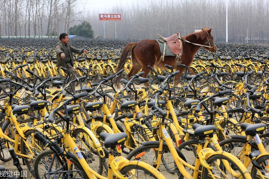 Nghia dia xe dap o Trung Quoc anh 12