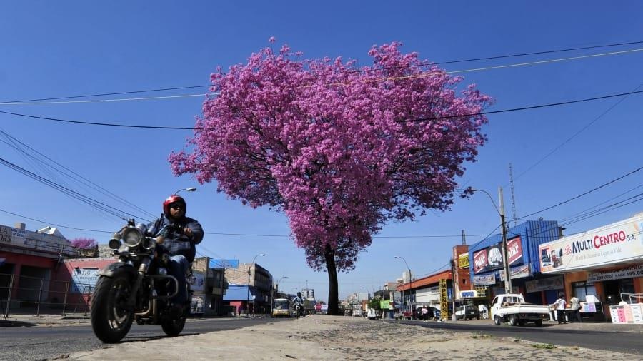 Quoc gia co ty le tai nan xe may cao nhat anh 10