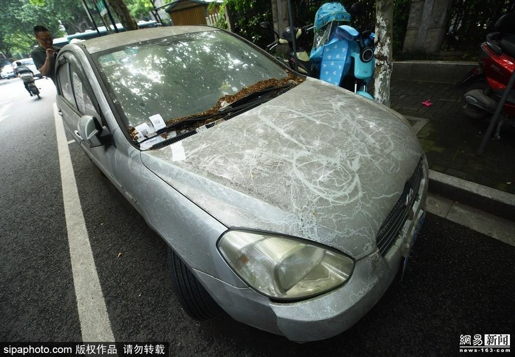 Vut oto o bai 600 ngay khong lay, phi gui xe 12.000 USD hinh anh