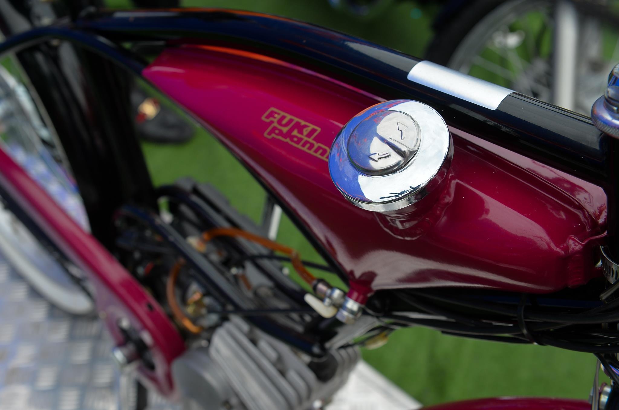 xe đạp gắn động cơ Fuki Planning FK310 ảnh 8 xe dap gan dong co Fuki Planning FK310 anh 8