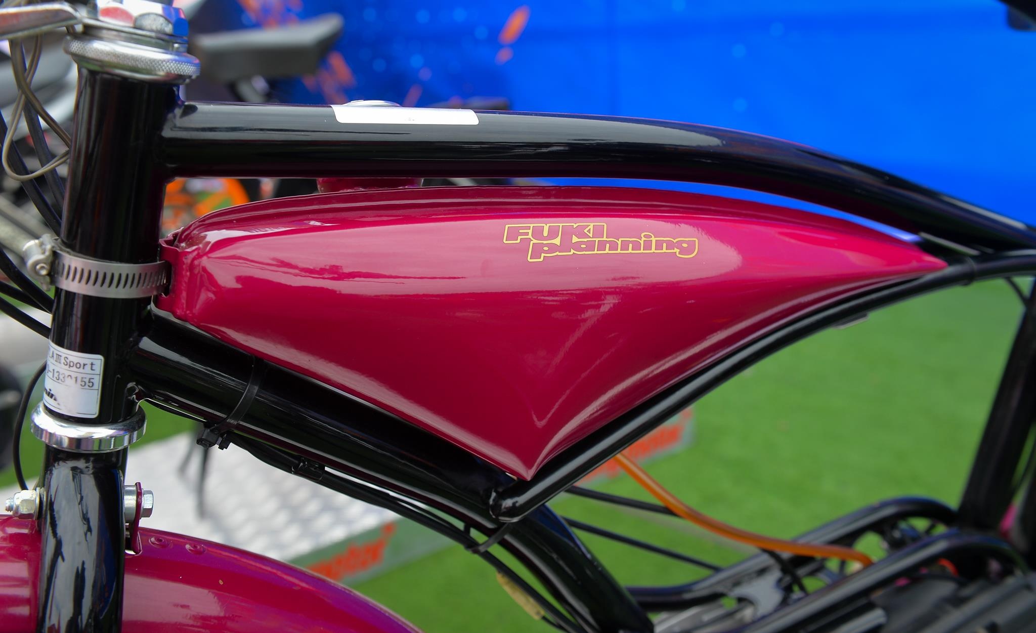 xe đạp gắn động cơ Fuki Planning FK310 ảnh 9 xe dap gan dong co Fuki Planning FK310 anh 9