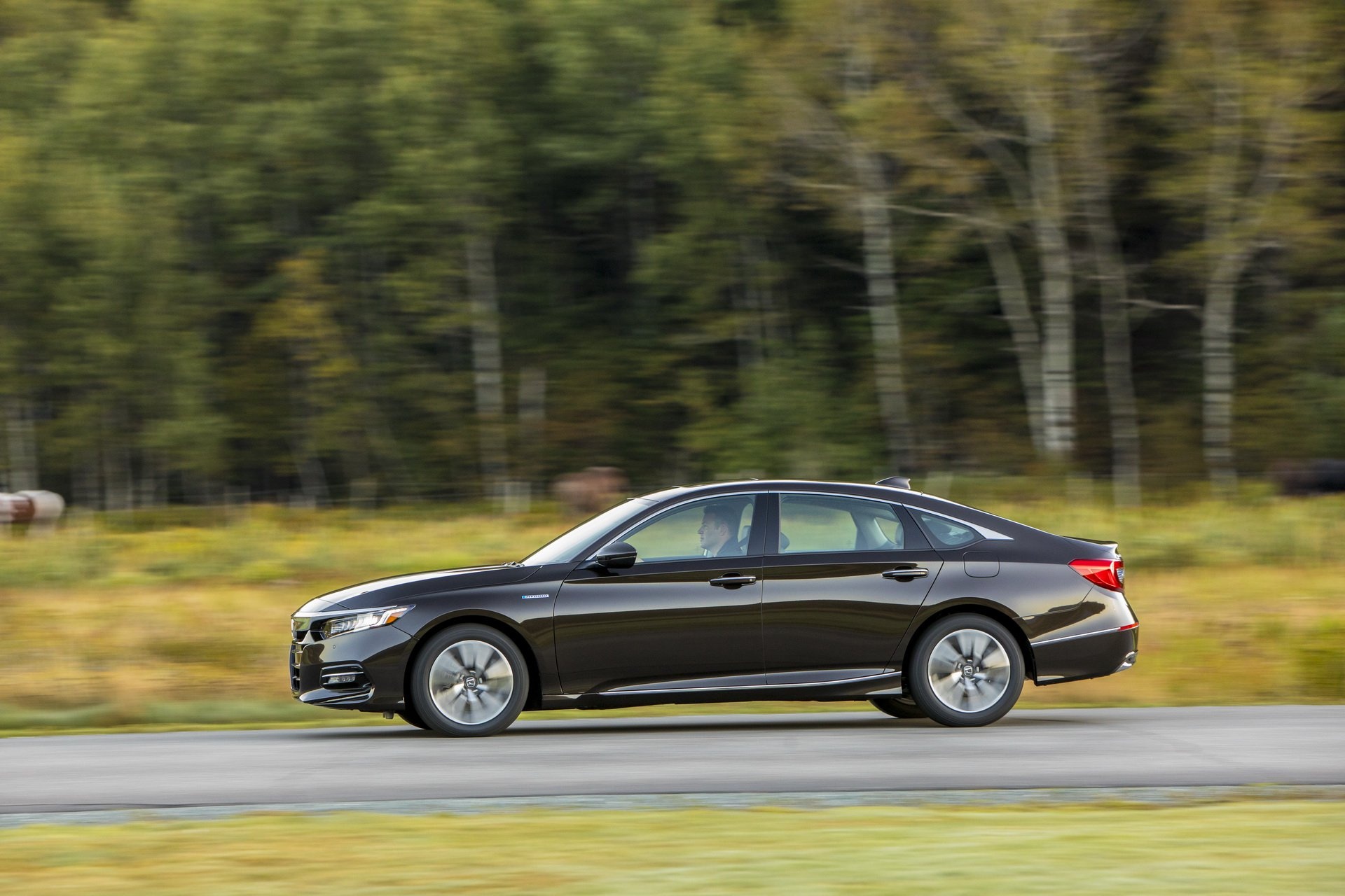 Honda Accord hybrid 2020 cong bo gia ban anh 2