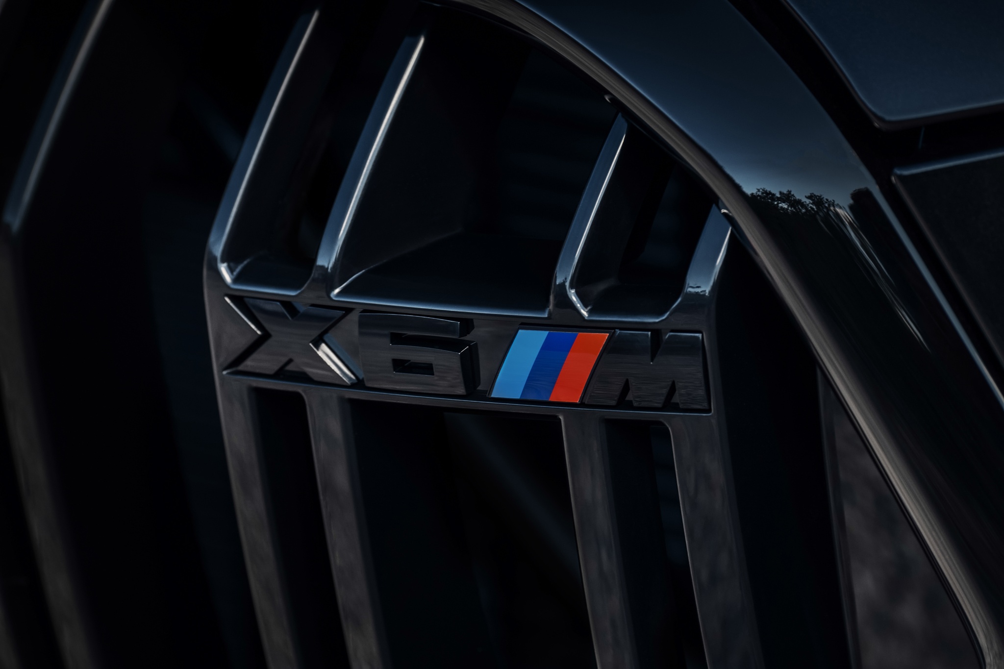 BMW X5 M va X6 M co gi dac biet? anh 40