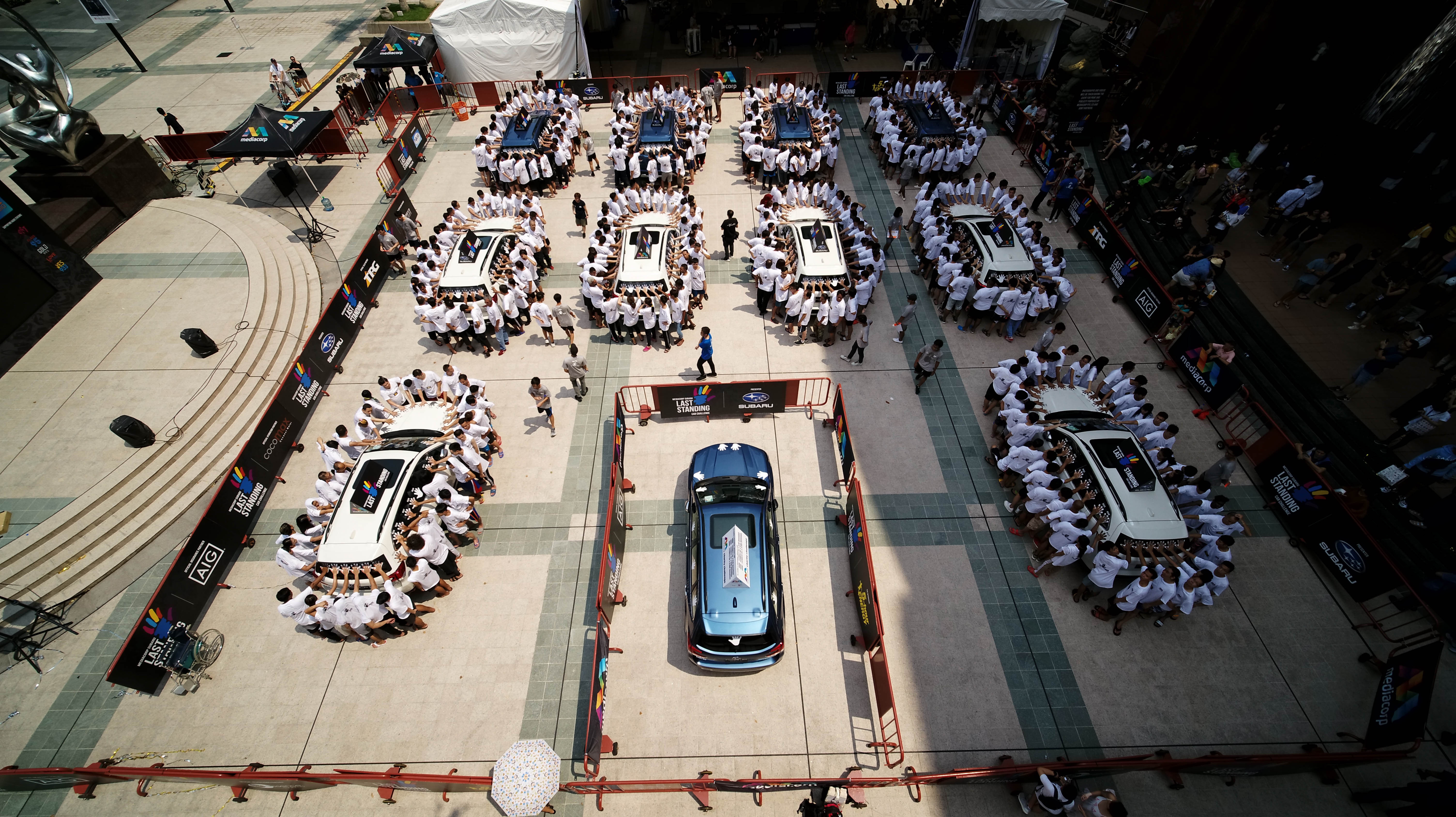 Viet Nam ve nhi trong cuoc thi Last Palm Challenge anh 7