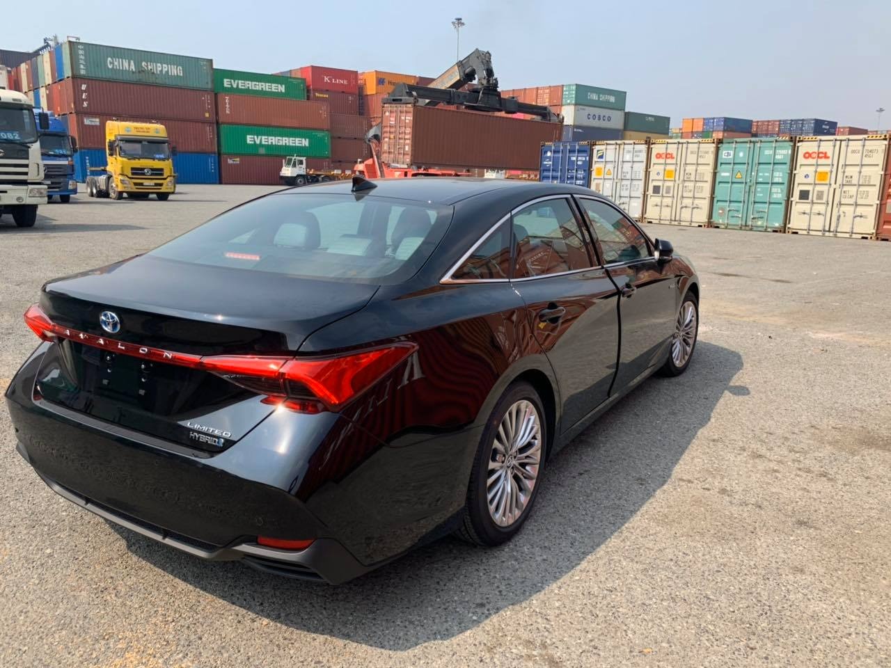 Can canh Toyota Avalon Hybrid Limited vua ve VN anh 3