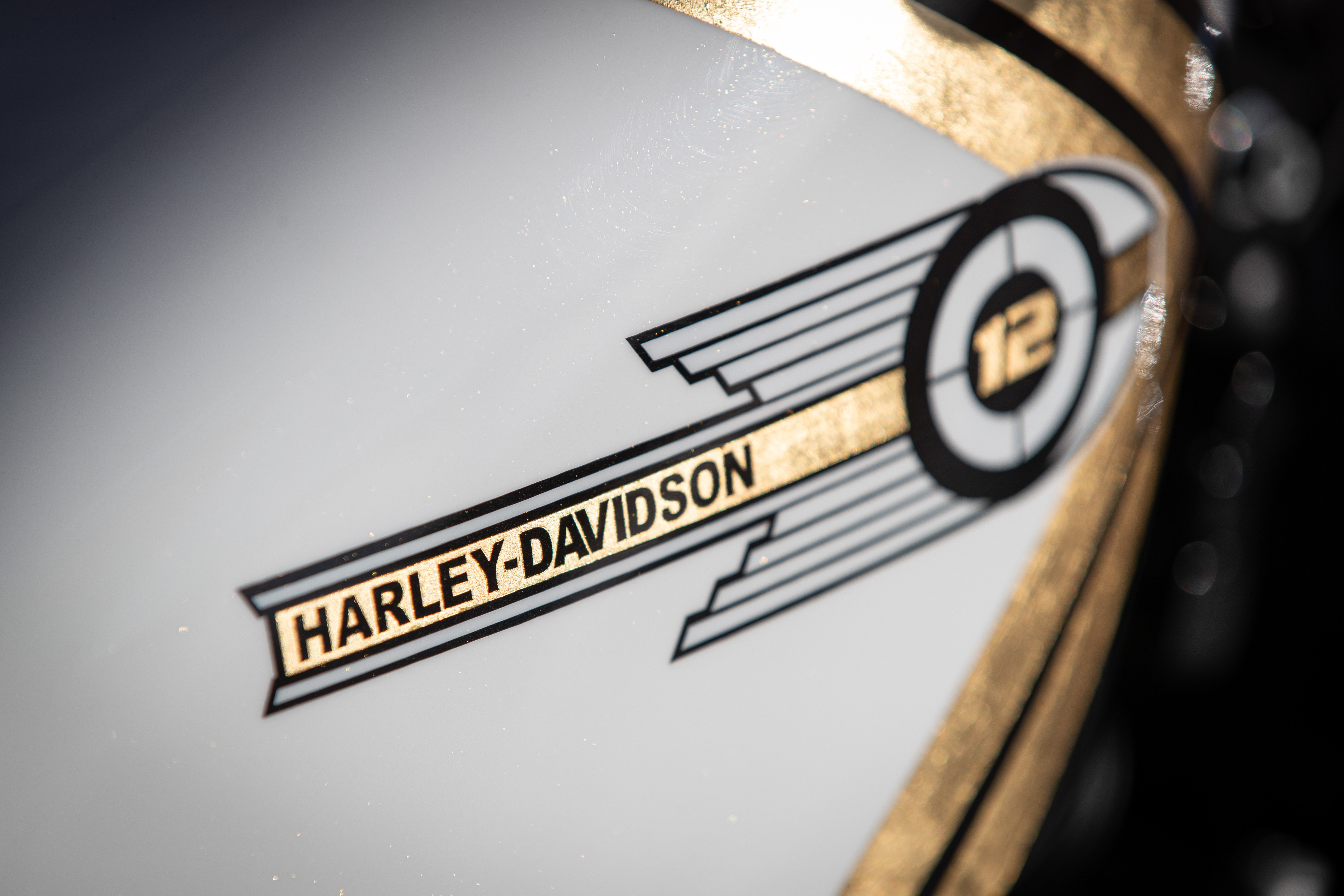 Ban do Harley-Davidson Sportster Sykes anh 34