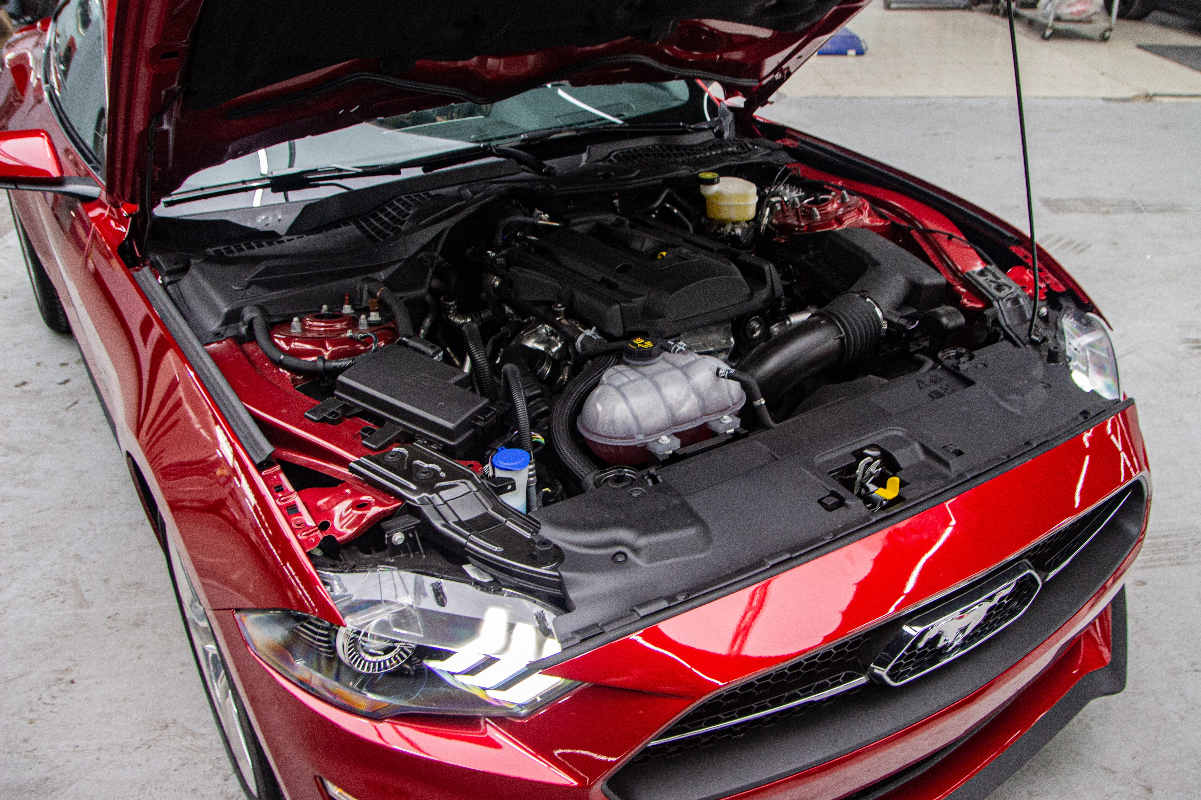 Ford Mustang 55th Edition gia hon 3 ty o VN anh 41