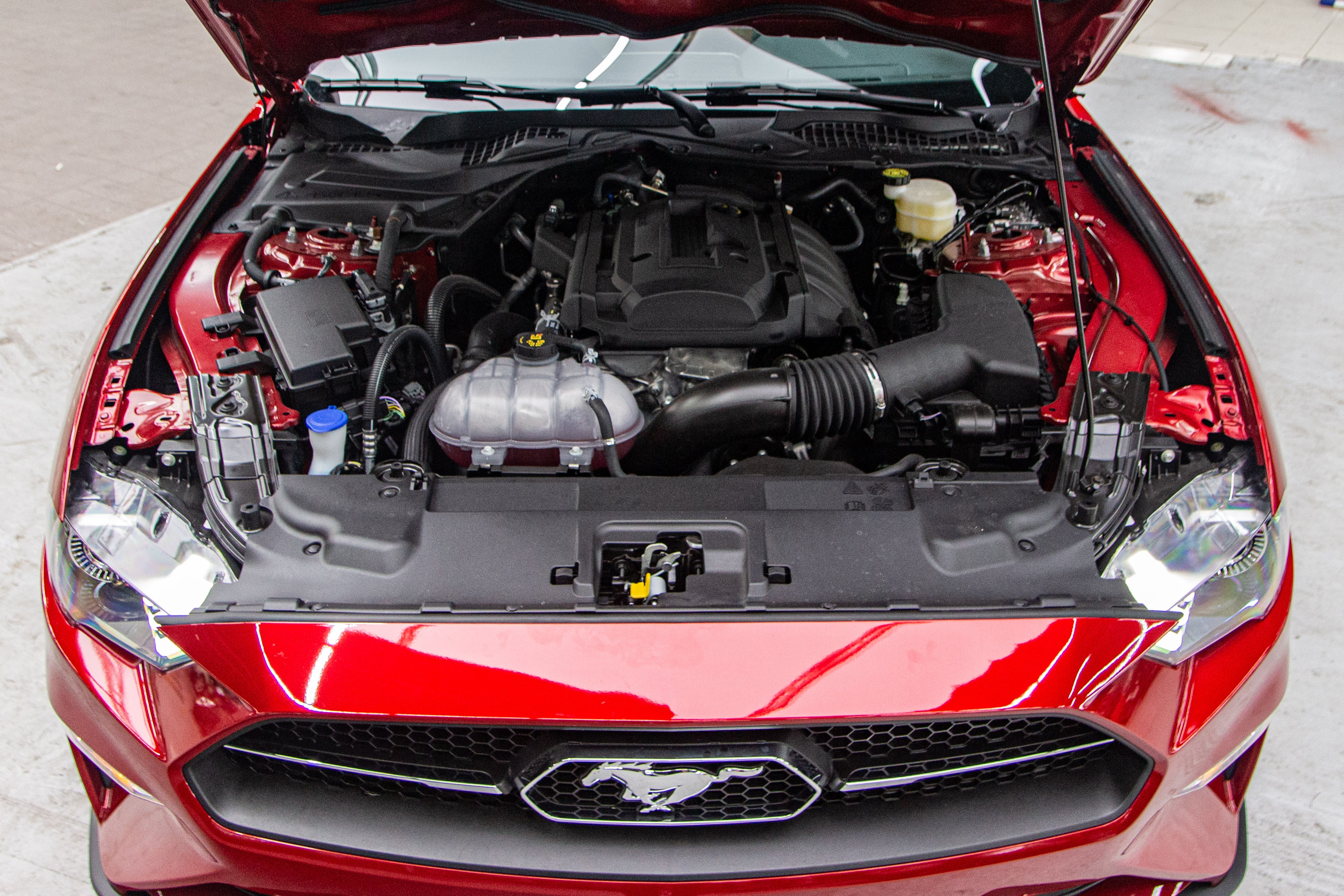 Ford Mustang 55th Edition gia hon 3 ty o VN anh 36