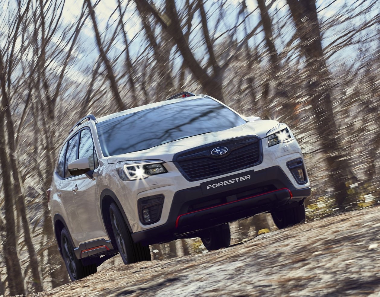 Subaru Forester Edition Sport40 ra mat anh 8