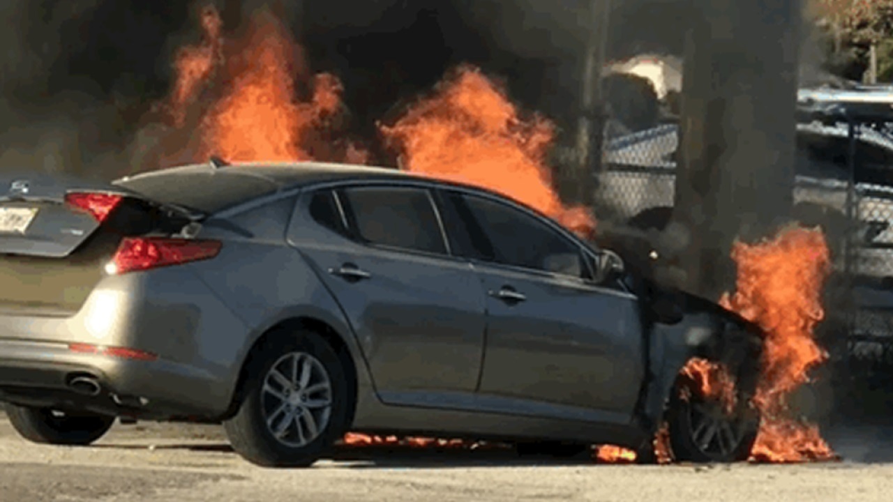 Kia trieu hoi 295.000 xe tai My vi co nguy co xay ra hoa hoan hinh anh