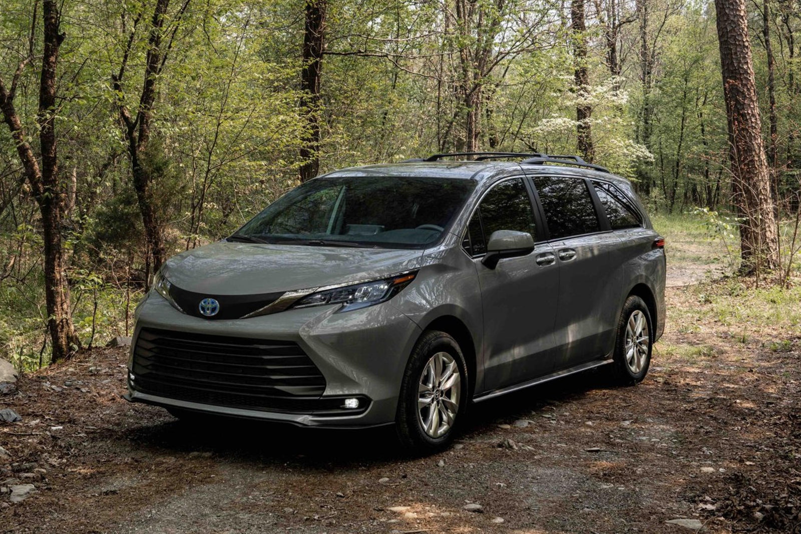 Toyota Sienna Woodland Special Edition ra mắt ảnh 11 Toyota Sienna Woodland Special Edition ra mat anh 11