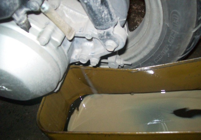 Dau lap xe tay ga co mau trang duc la bi gi? hinh anh