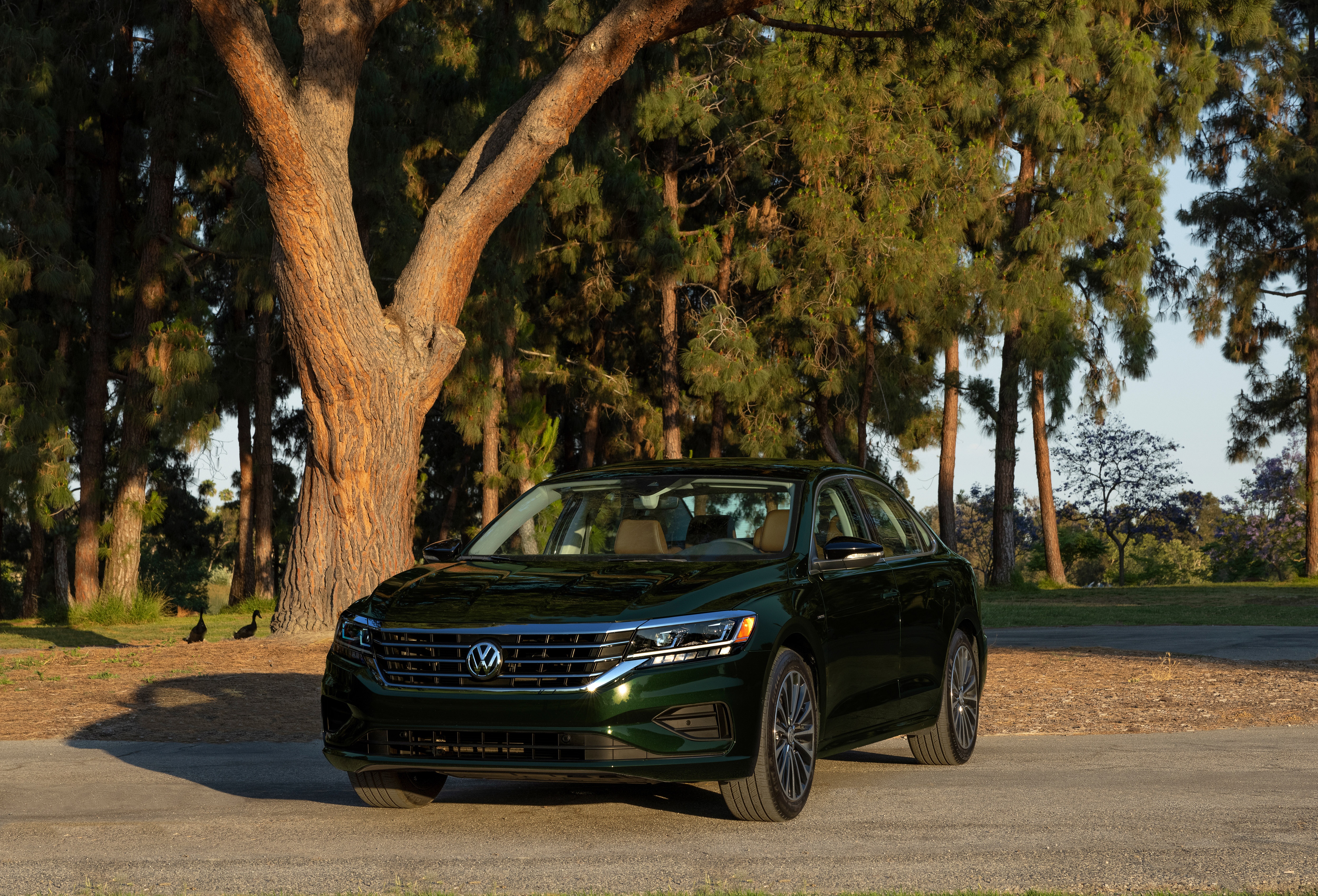 Volkswagen Passat Limited Edition 2022 ra mat anh 14