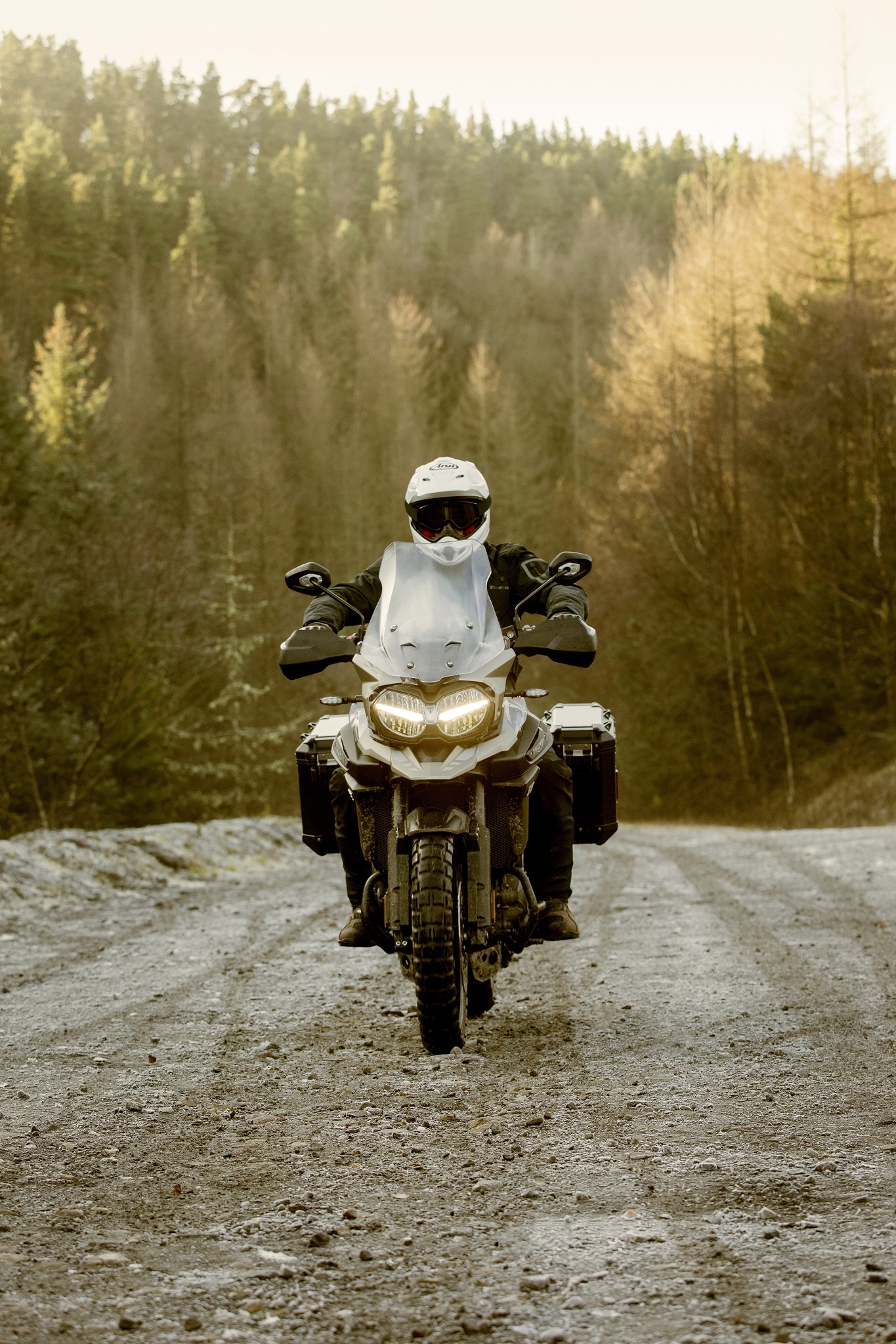 Triumph Tiger 1200 Desert 2021 va Tiger 1200 Alpine Special Edition ra mat anh 3