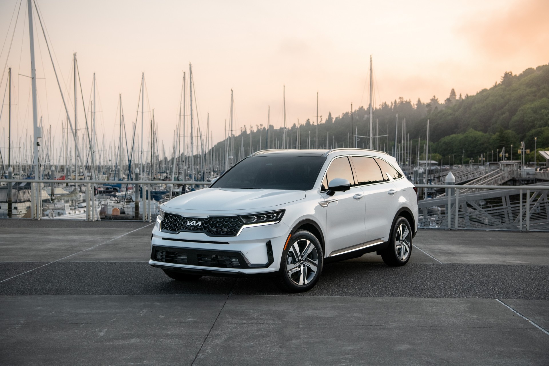 Kia Sorento bi trieu hoi tai My vi nguy co chay no hinh anh