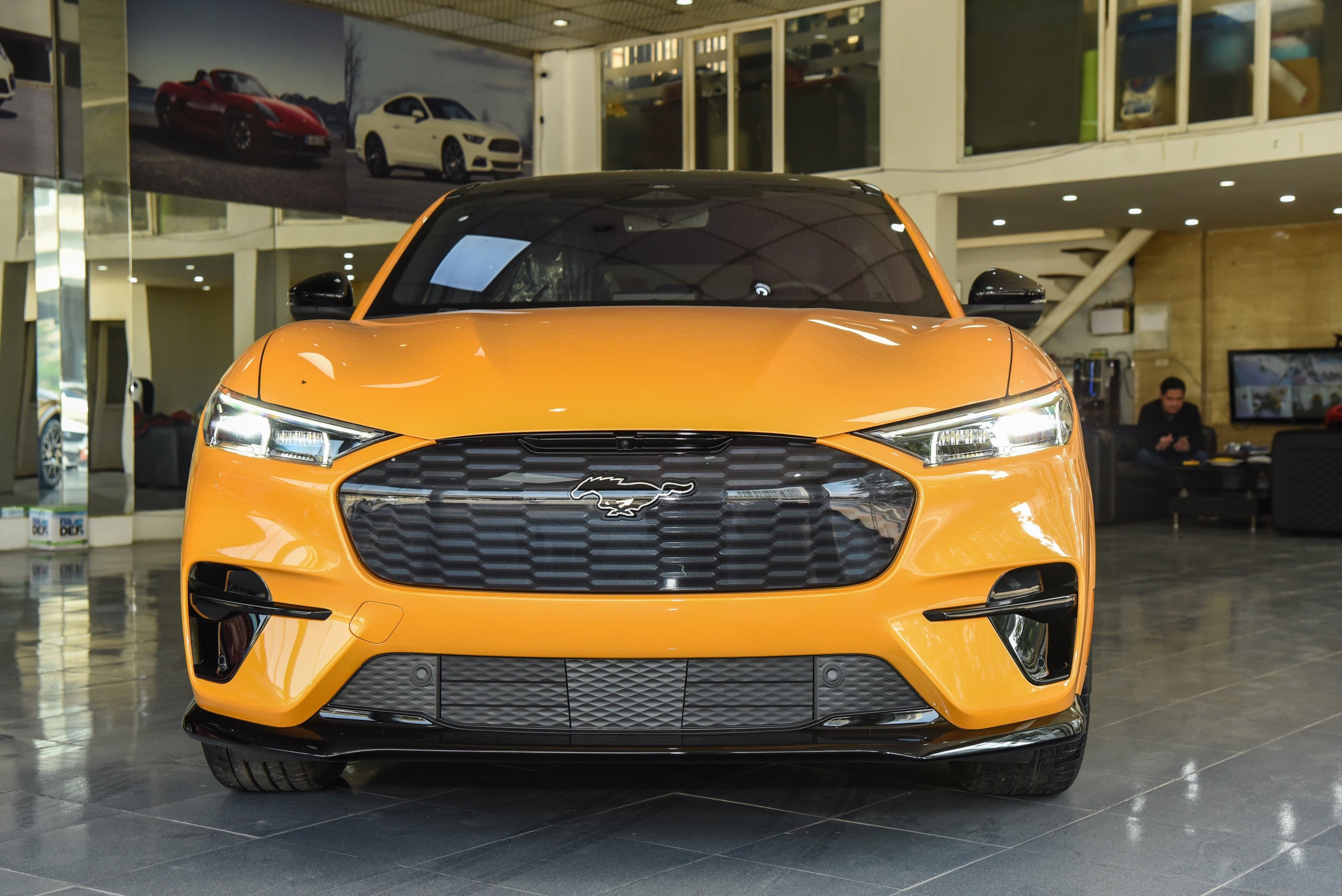 Ford ngung nhan dat hang xe dien Mustang Mach-E hinh anh