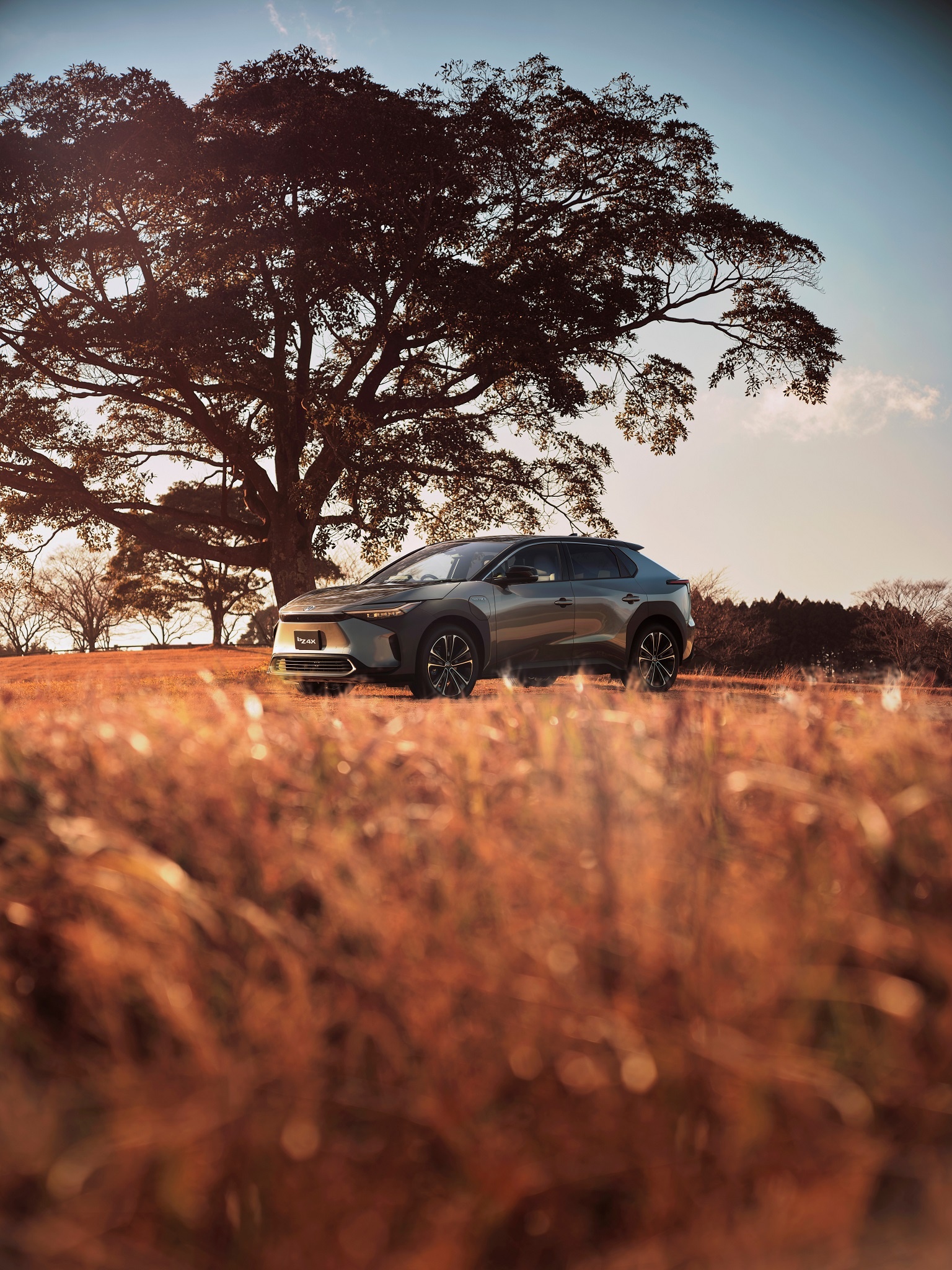 Toyota bZ4X sap ra mat tai Dong Nam A anh 12