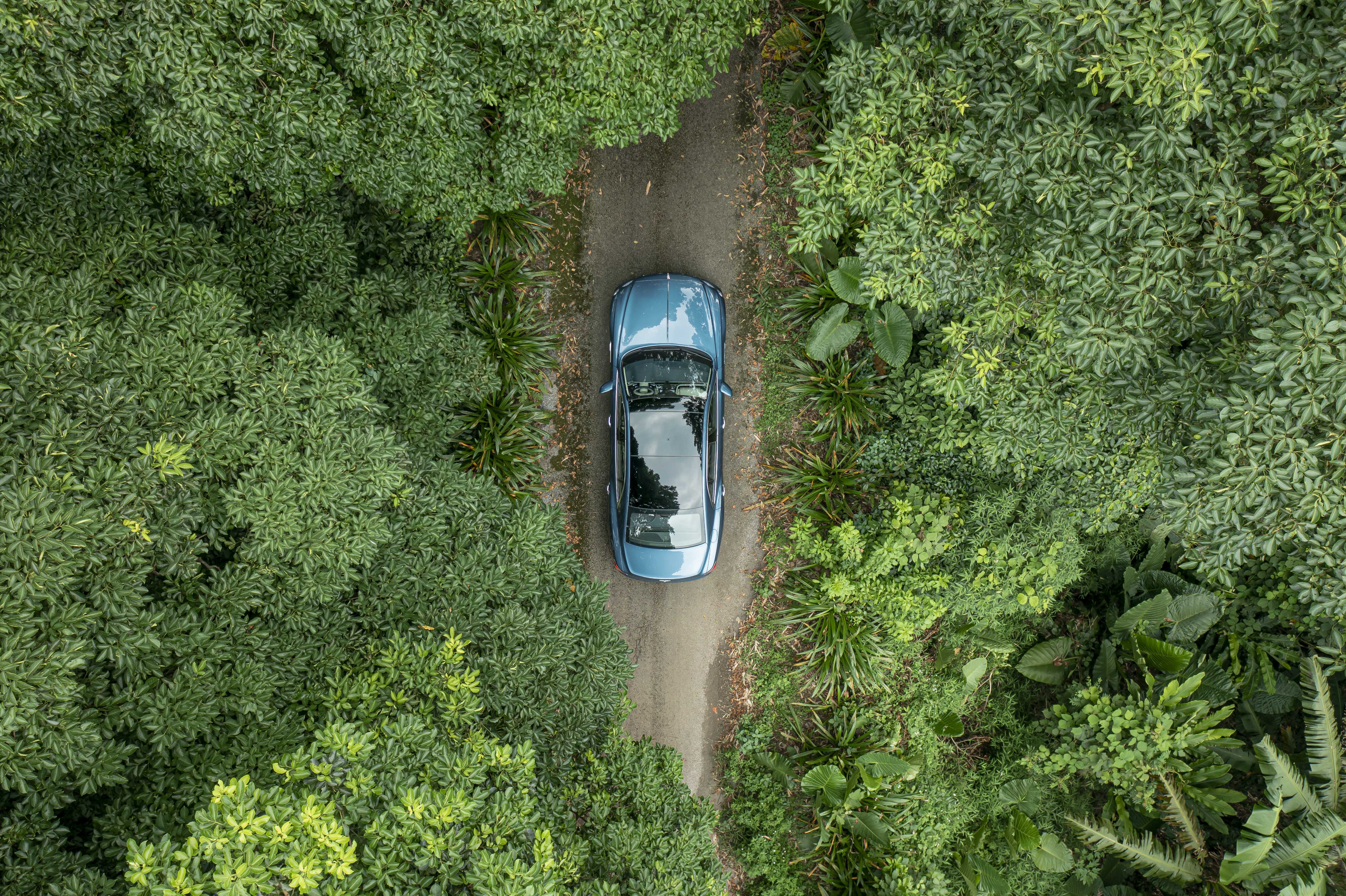 Ảnh Bentley Flying Spur Hybrid ảnh 16 Anh Bentley Flying Spur Hybrid anh 16