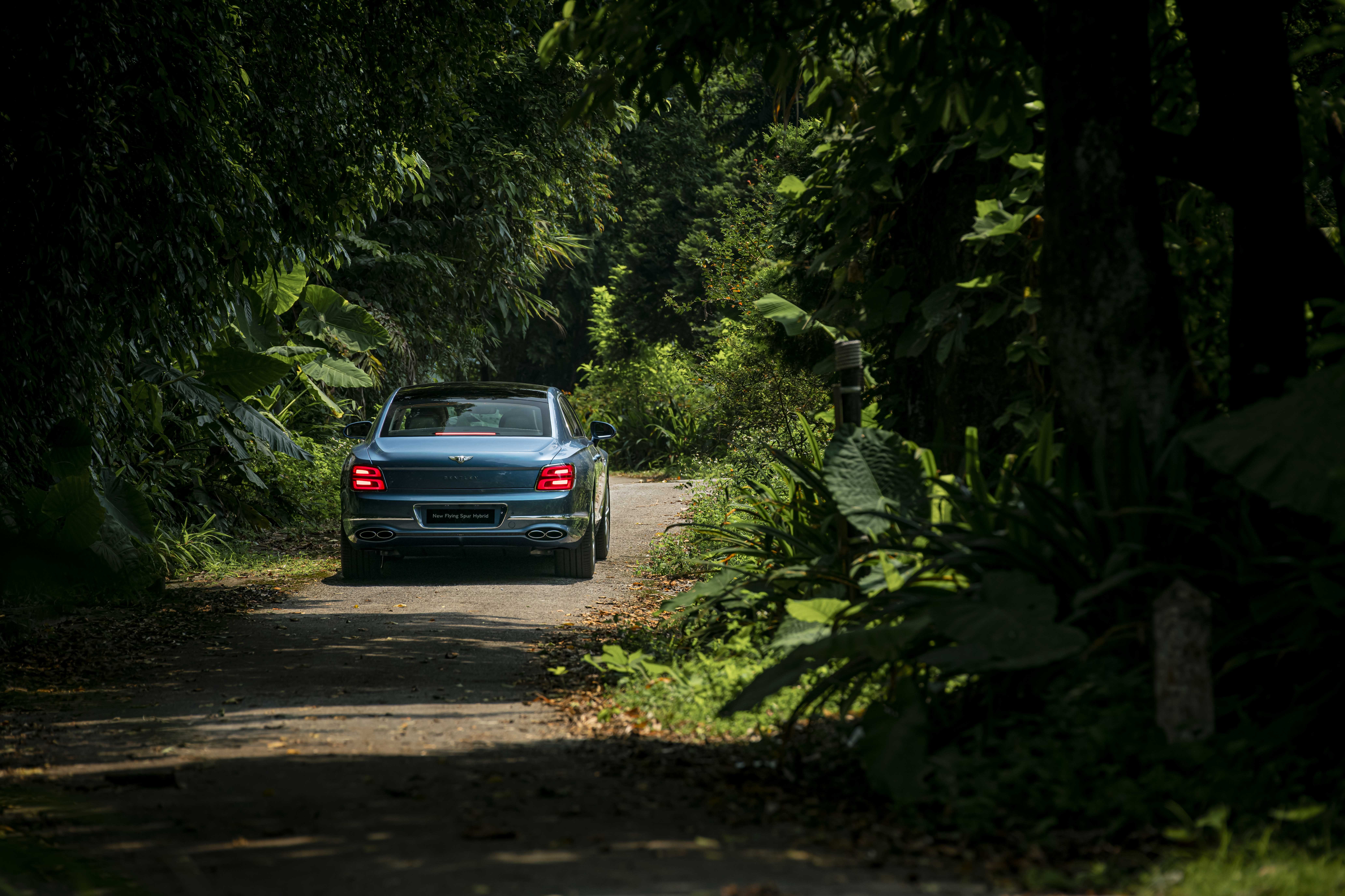 Ảnh Bentley Flying Spur Hybrid ảnh 15 Anh Bentley Flying Spur Hybrid anh 15