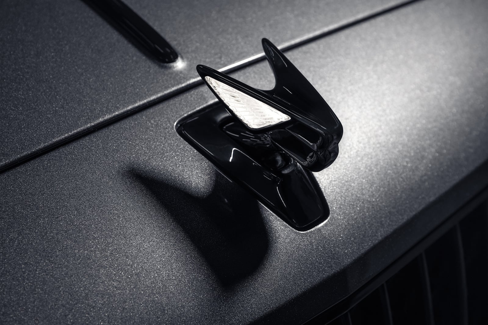 Bentley Flying Spur dac biet anh 7