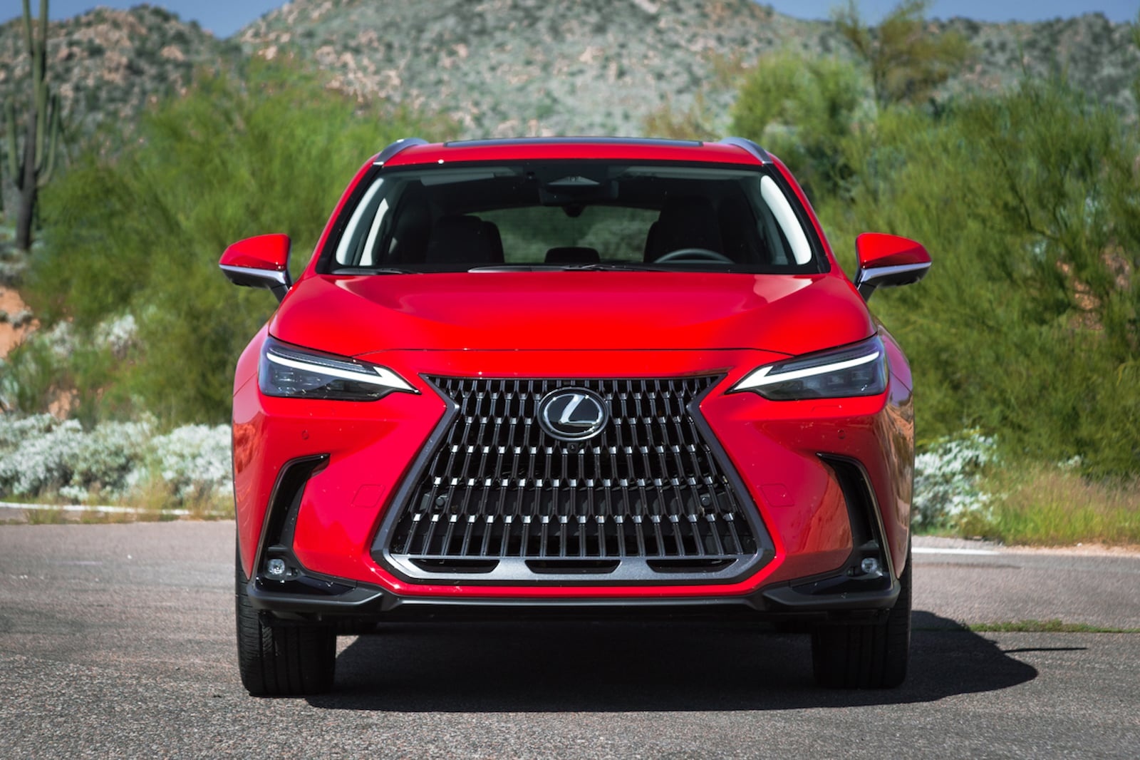 Lexus trai qua nam 2022 day kho khan hinh anh