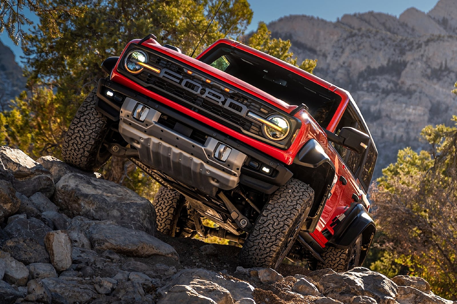 Xe gam cao tot nhat anh 10