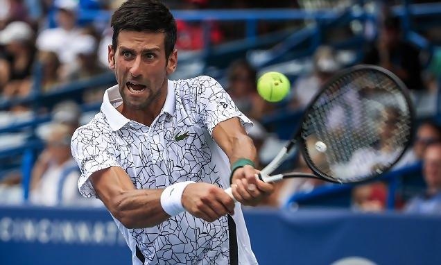 Djokovic nguoc dong an tuong, DKVD bat ngo dung buoc tai Cincinnati hinh anh
