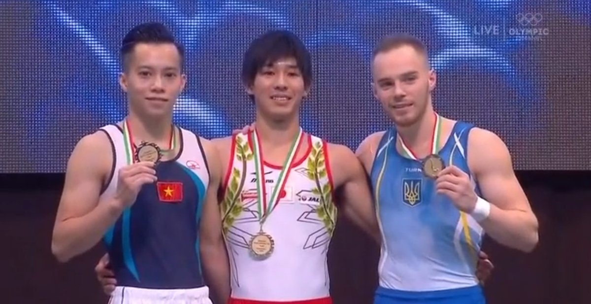 Le Thanh Tung gianh HCB nhay chong Cup the gioi hinh anh