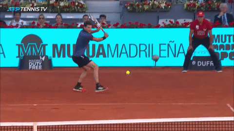 Nhung pha ghi diem an tuong trong tran Federer gap Thiem hinh anh