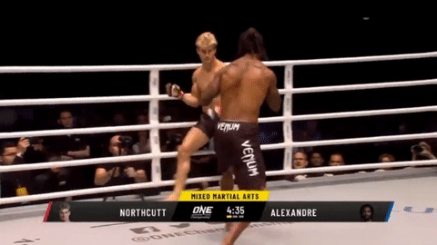 Vo si MMA bi ha do van sau 29 giay hinh anh