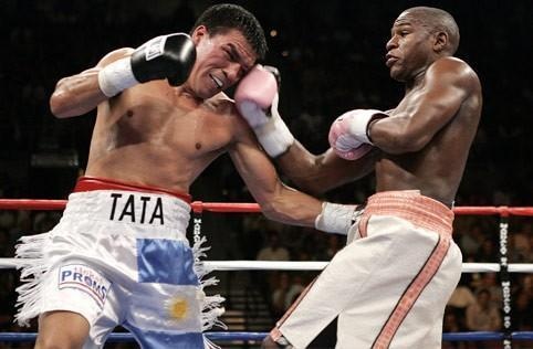 nha vo dich WBC di tu vi cuong hiep anh 1