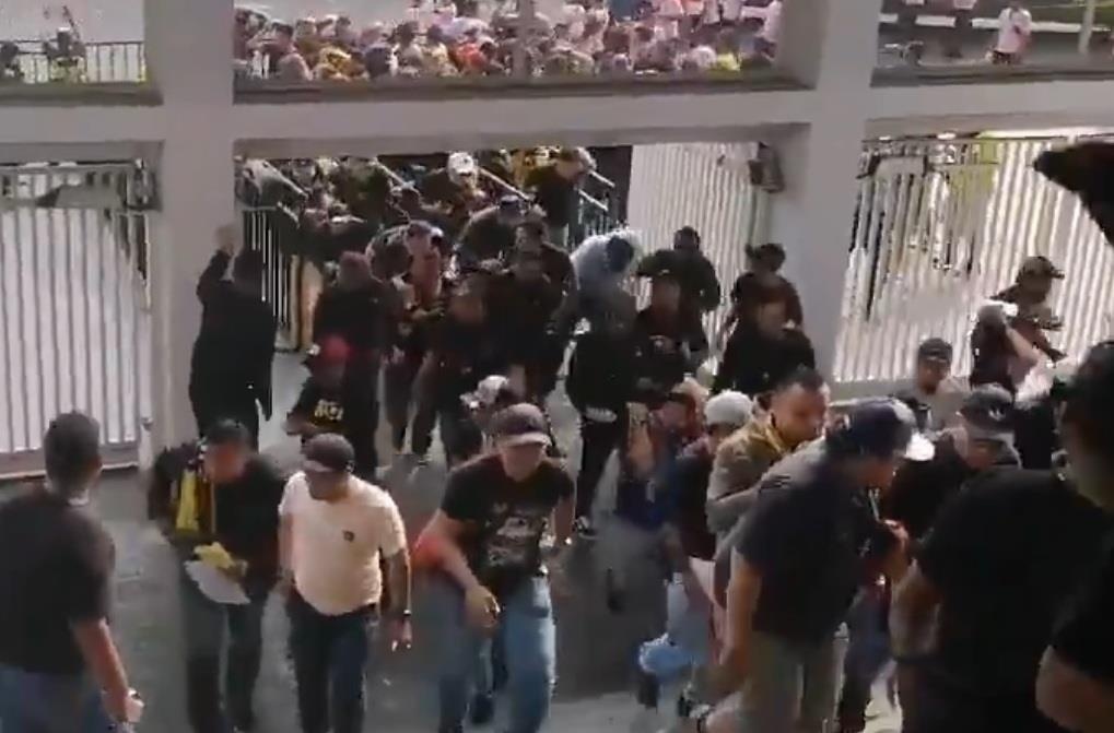 Canh tuong co dong vien Malaysia om dau thao chay vi bi nem da hinh anh