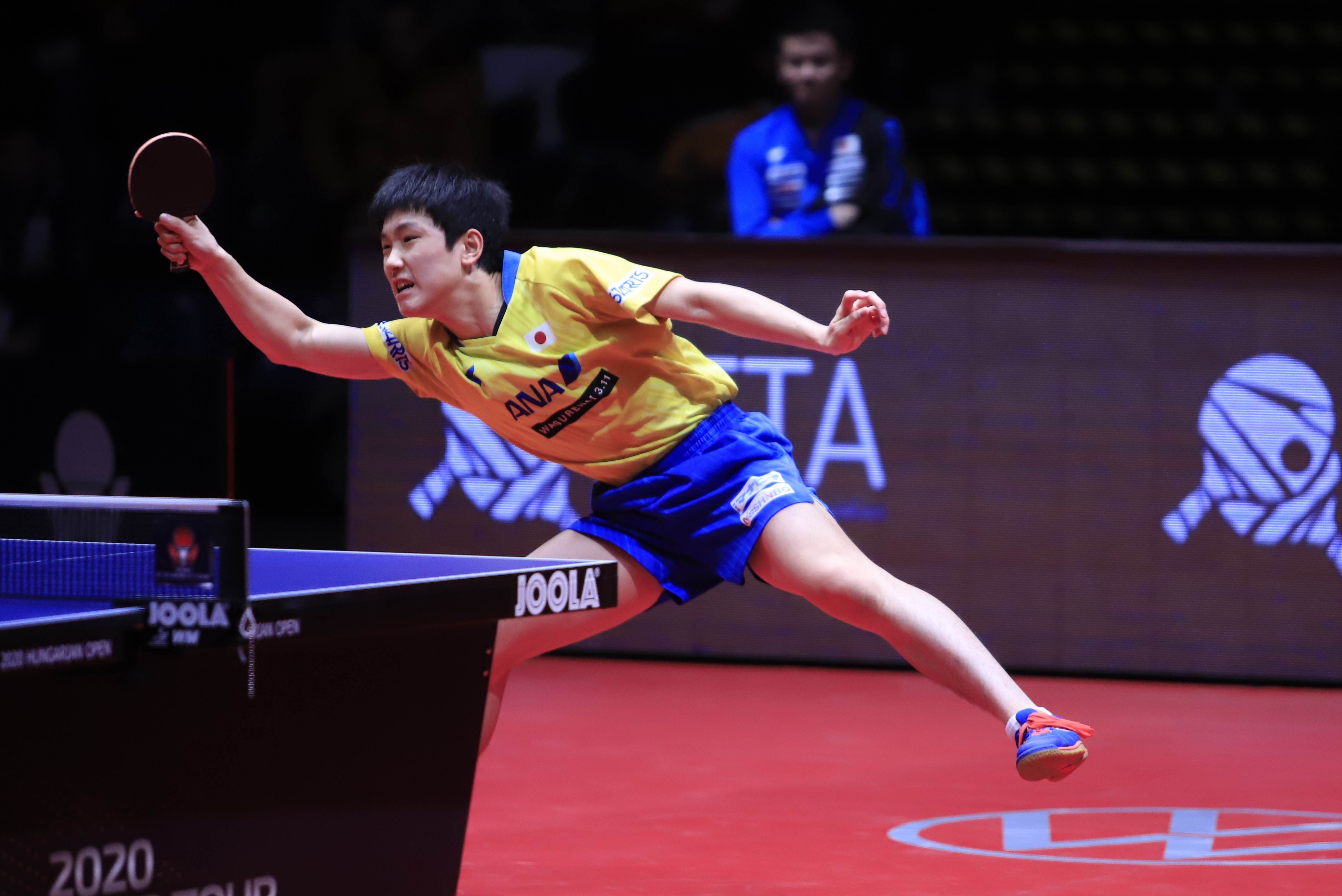 than dong bong ban Harimoto anh 1