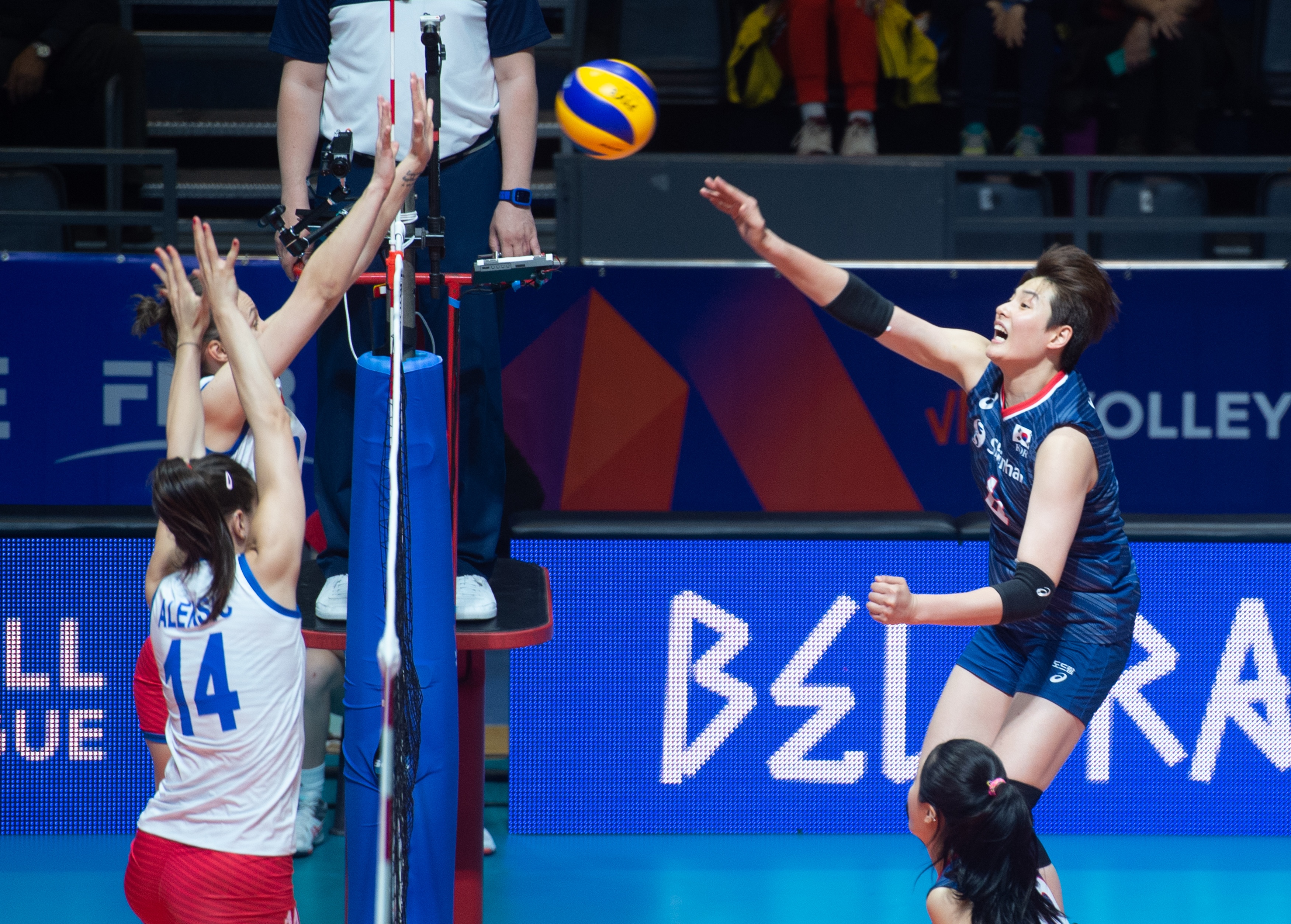 tay dap Han Quoc nam tinh anh 7