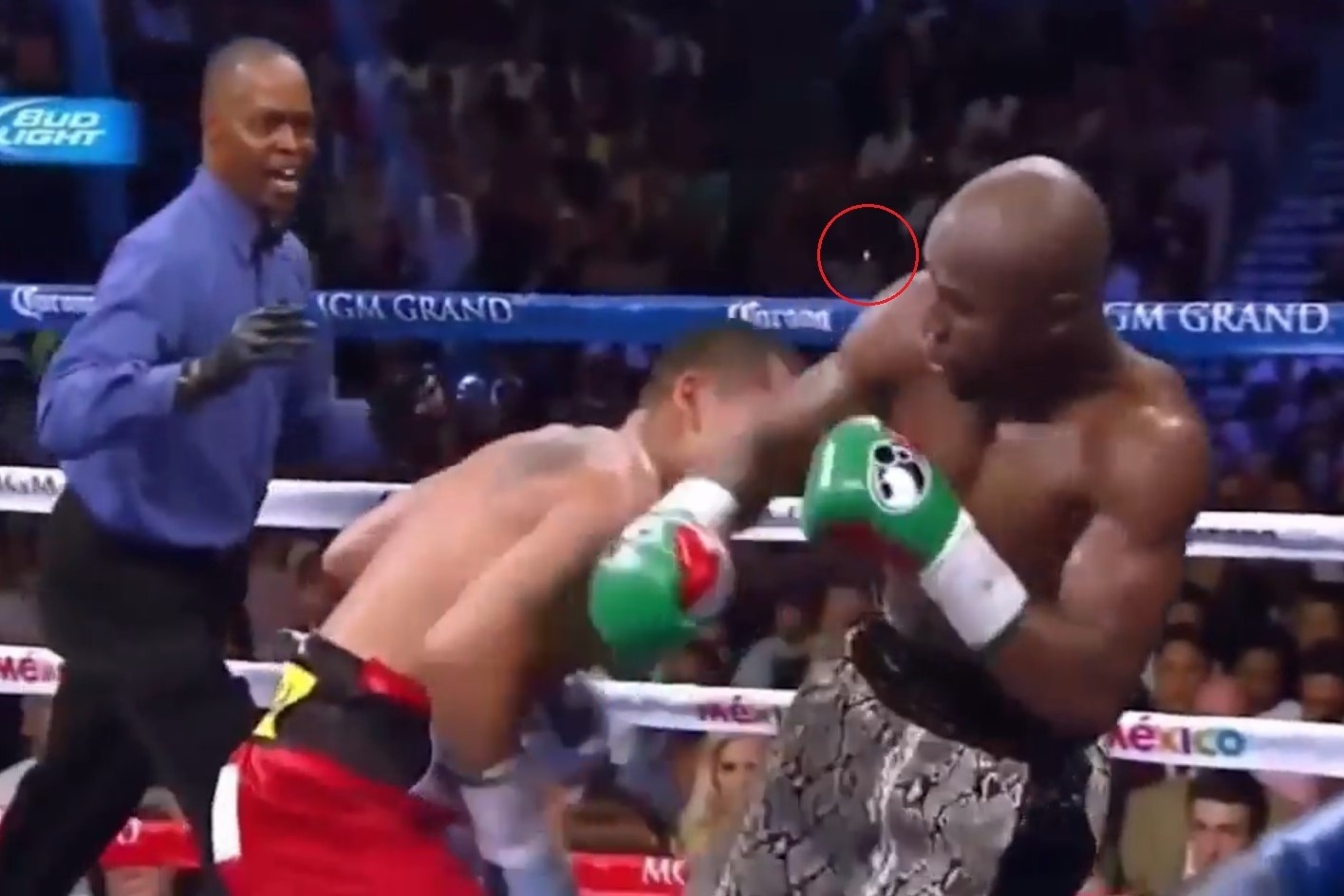 Cu dam khien Mayweather gay rang hinh anh