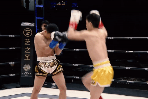 Pha bay nguoi len goi knock-out vo si Thai Lan sau 17 giay hinh anh