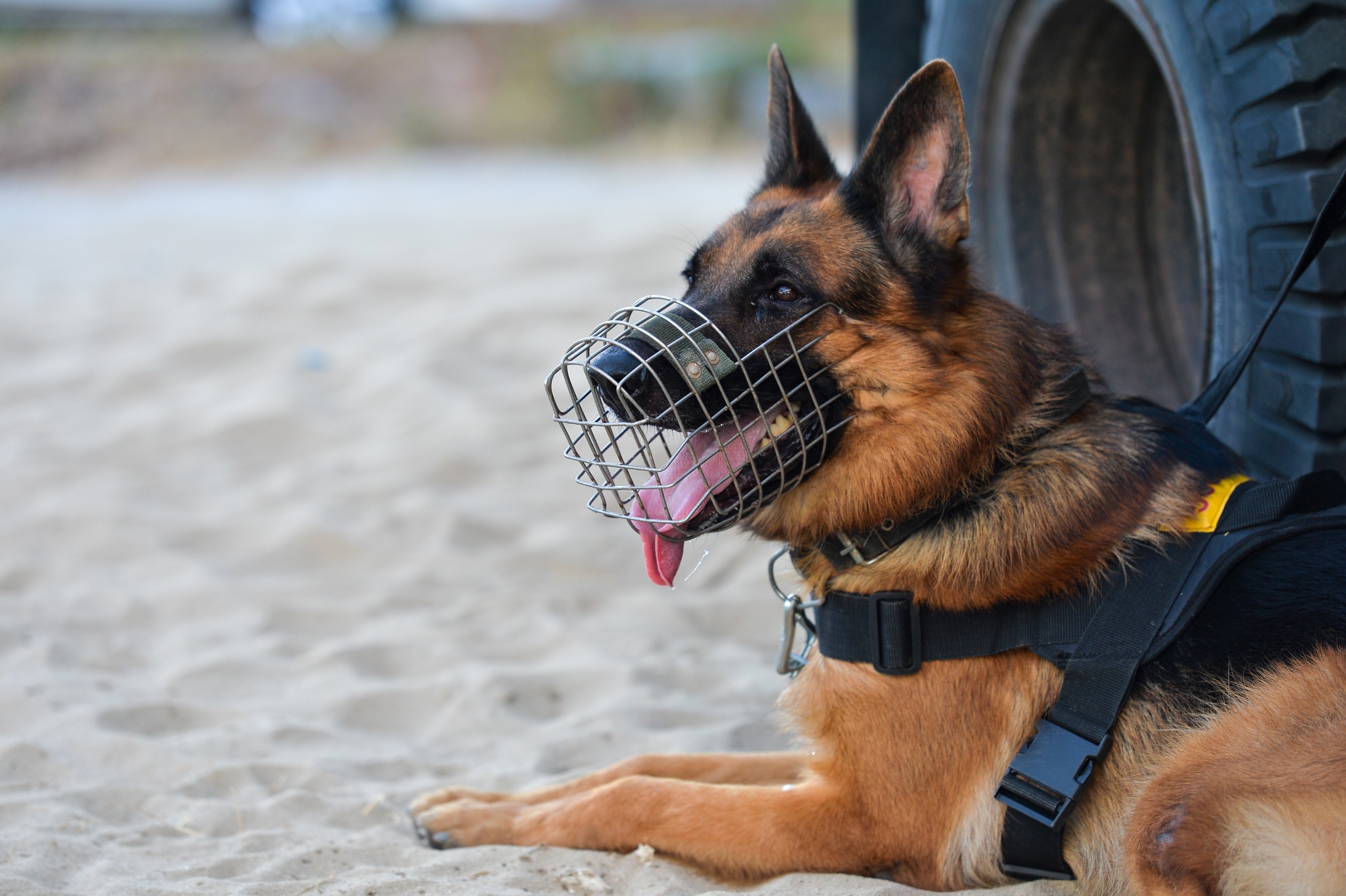 Truc tiep Ha Tinh vs TP.HCM anh 9