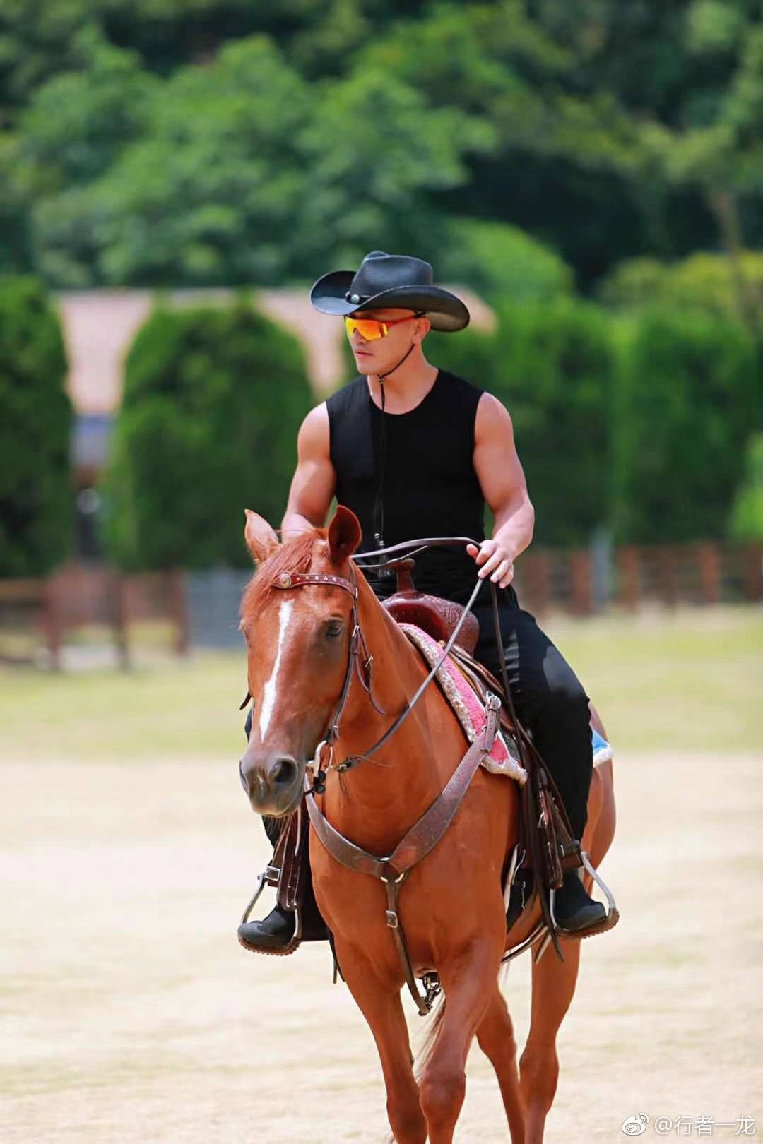 gia tài Nhất Long ảnh 9 gia tai Nhat Long anh 9