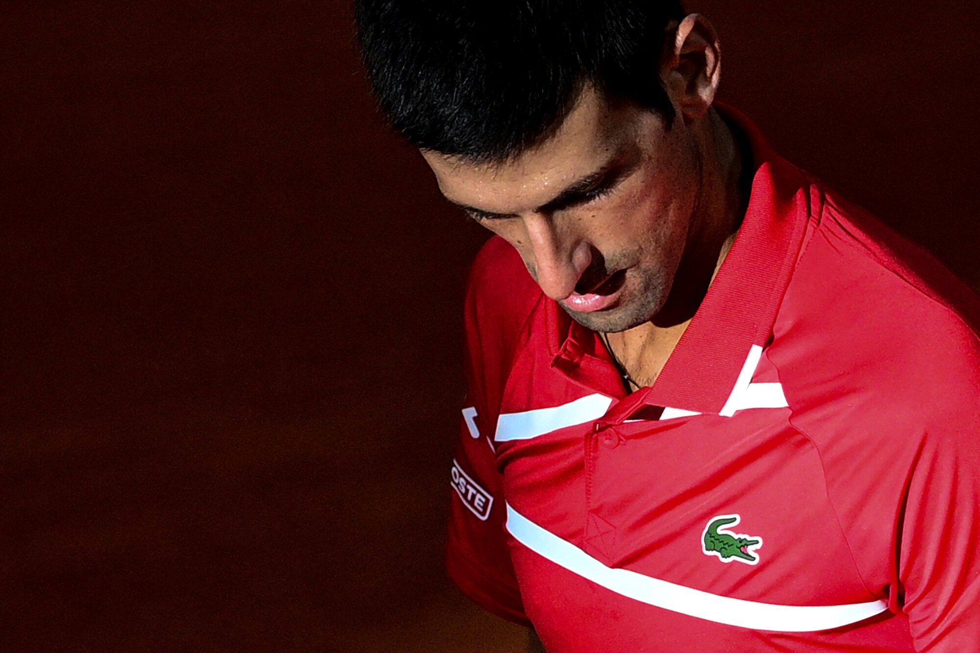 Djokovic that bai anh 1