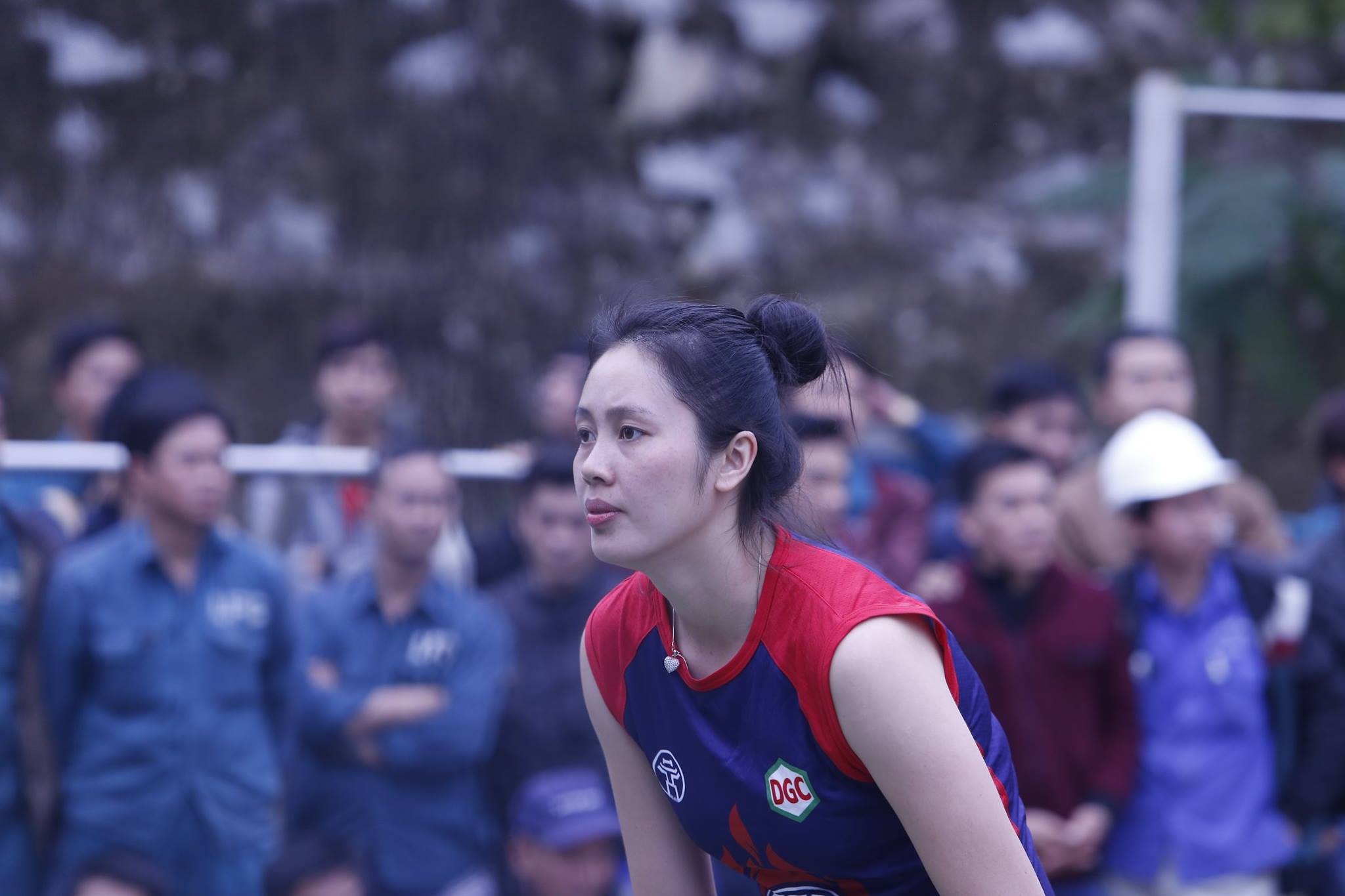 hoa khoi bong chuyen anh 9