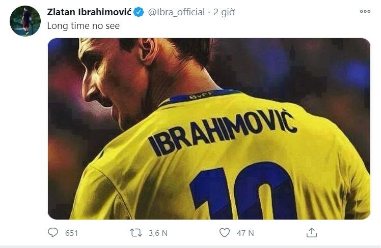 Ibrahimovic Thuy Dien anh 1