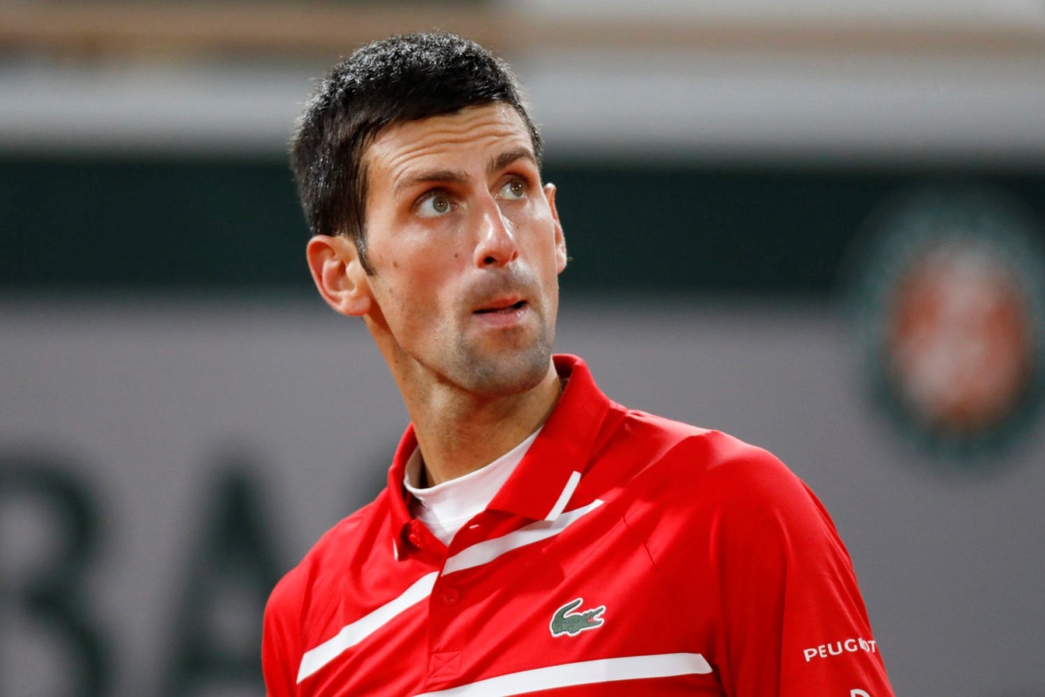 ATP bi chi trich vi im lang trong vu viec cua Djokovic hinh anh