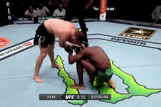 Vo si quang dai vo dich sau khi doi thu knock-out pham luat hinh anh