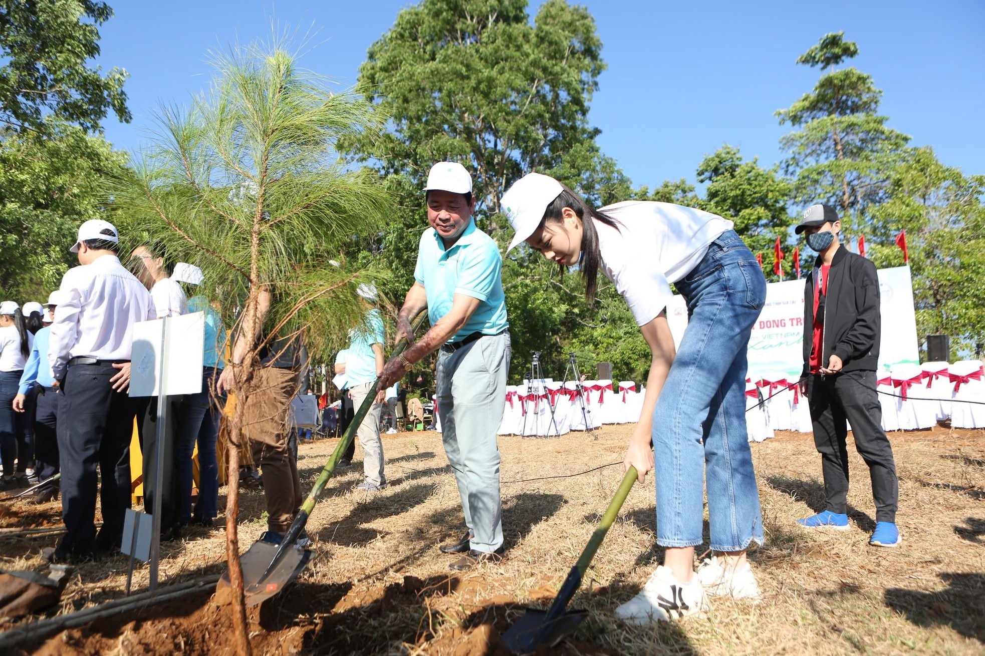 hoa hau viet nam tham kiatisuk anh 7