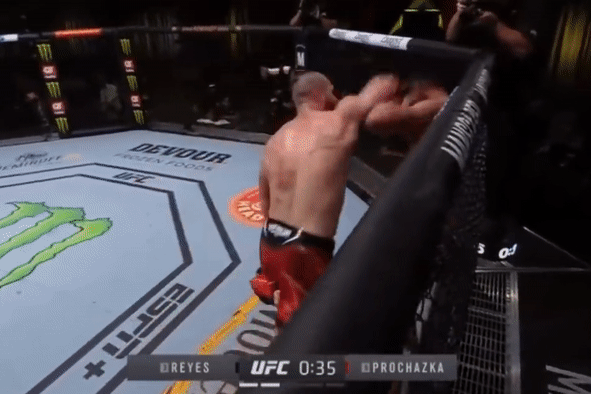 Cu don cho giup vo si thang knock-out hinh anh