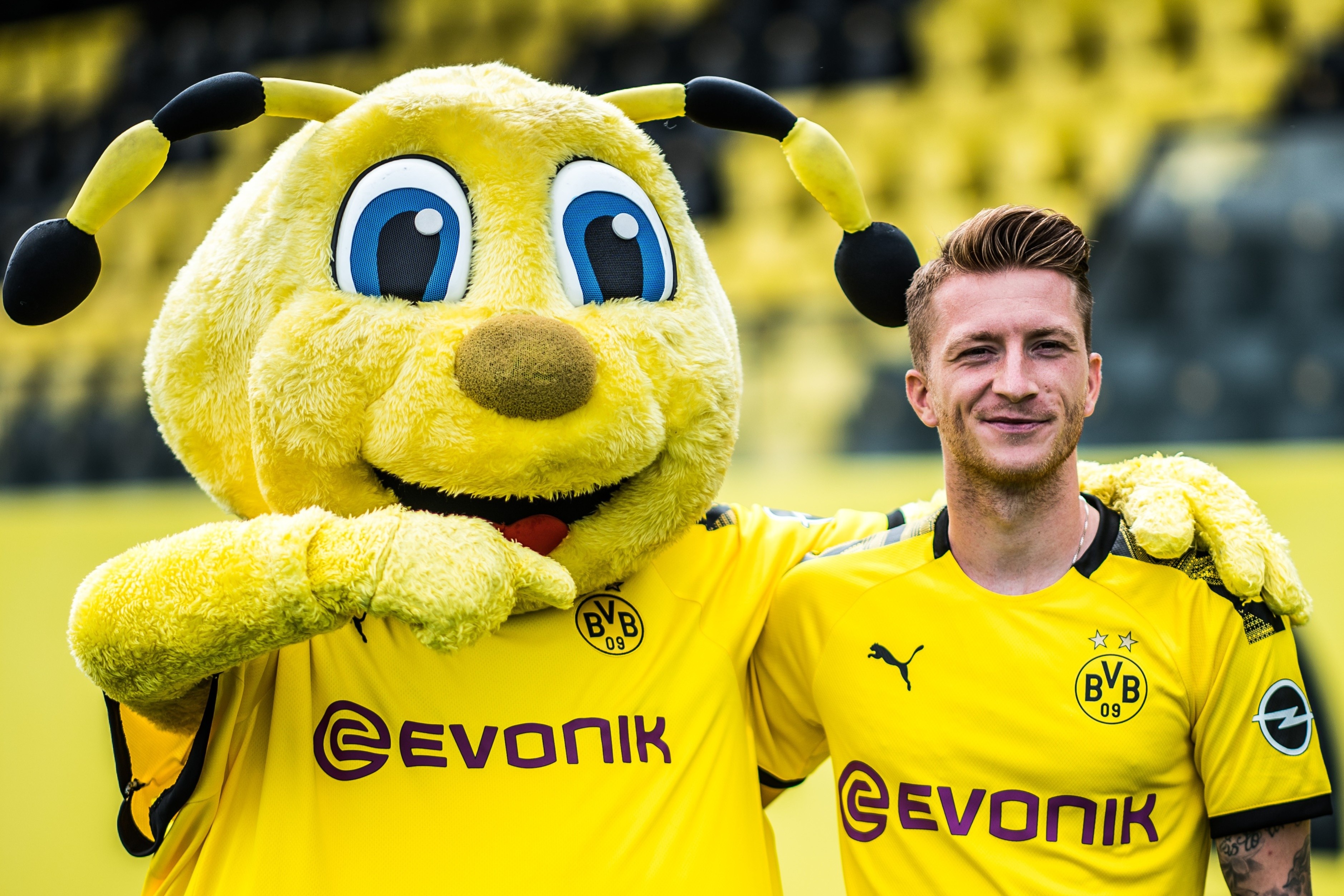 Dortmund khuay dong mua he bang chuoi su kien tham quan ao hinh anh