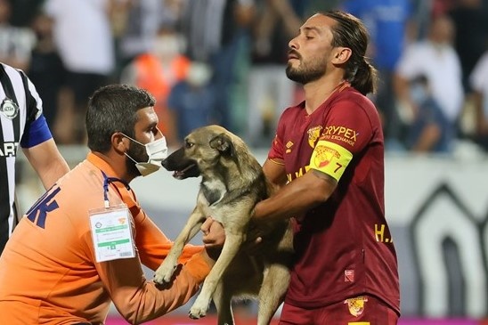 Chu cho lam gian doan tran dau hinh anh