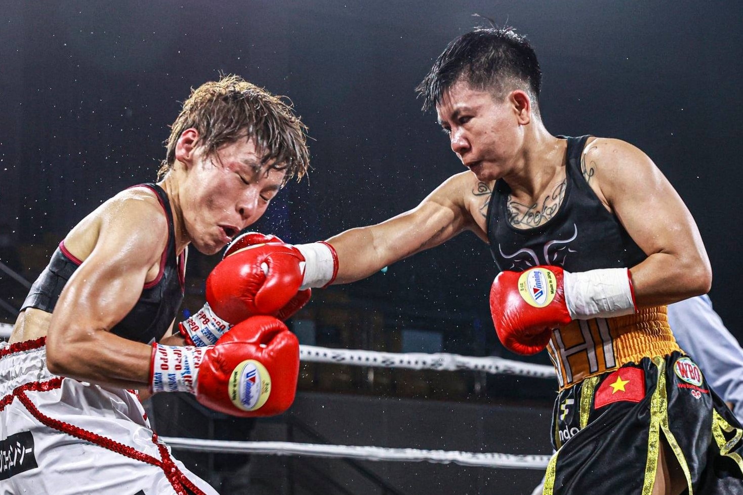 Bai tuong cua Thu Nhi khieu nai len WBO hinh anh