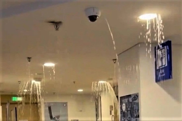 Ban to chuc Olympic Bac Kinh yeu cau van dong vien xoa hinh anh hinh anh